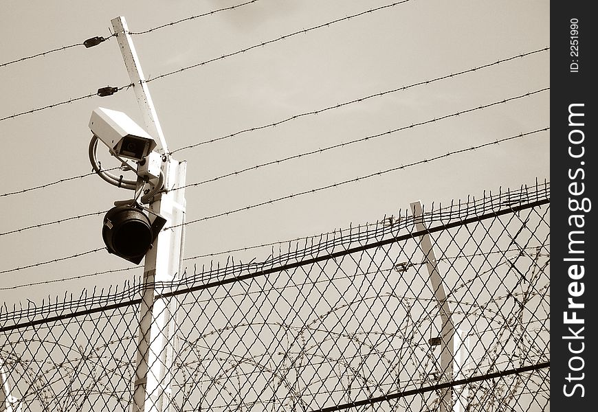 Camera and barbed wire for surety