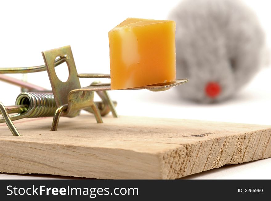 Close-up of cheese bait on a mousetrap with mouse in background. Close-up of cheese bait on a mousetrap with mouse in background.