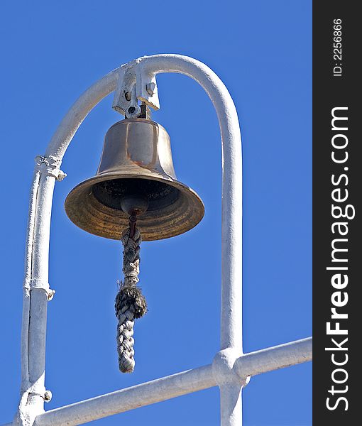 Sea bell on a background of the dark blue sky