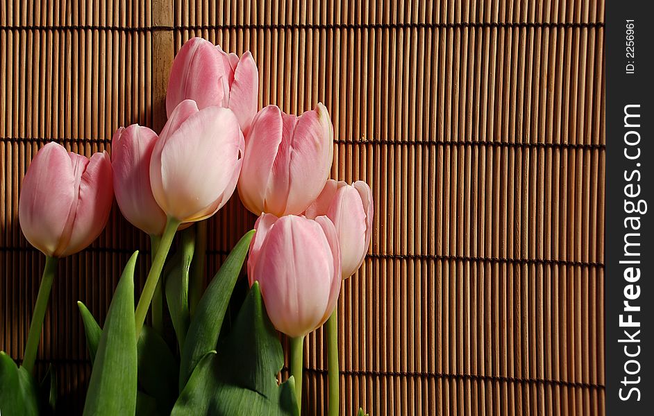 Bunch of pink tulips over wicker background