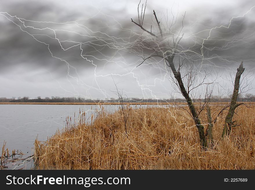 A picture of lightning rods striking a tree. A picture of lightning rods striking a tree.