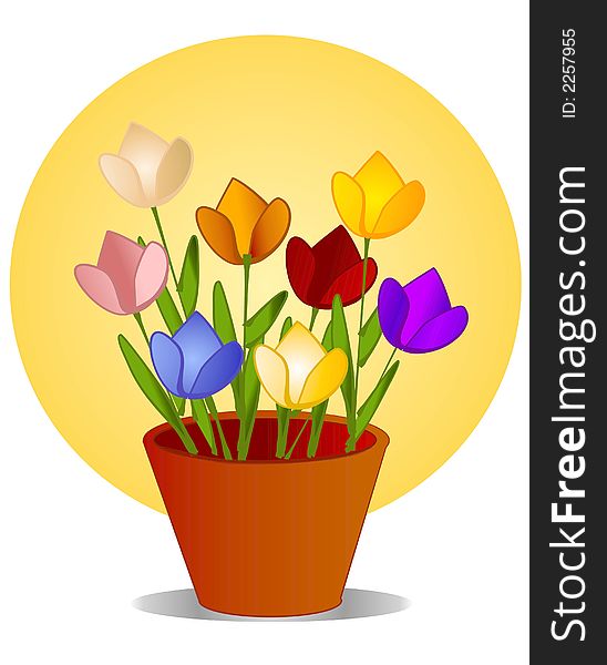 Tulips in Flower Pot With Sun