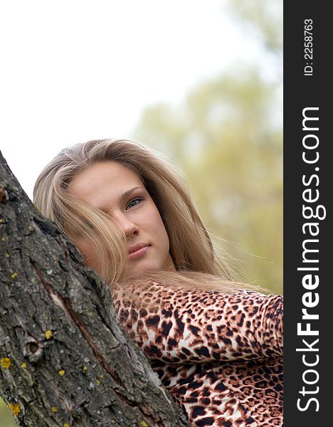 The Girl And The Tree.