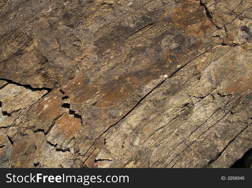 Vintage background - a natural woodstone. Vintage background - a natural woodstone