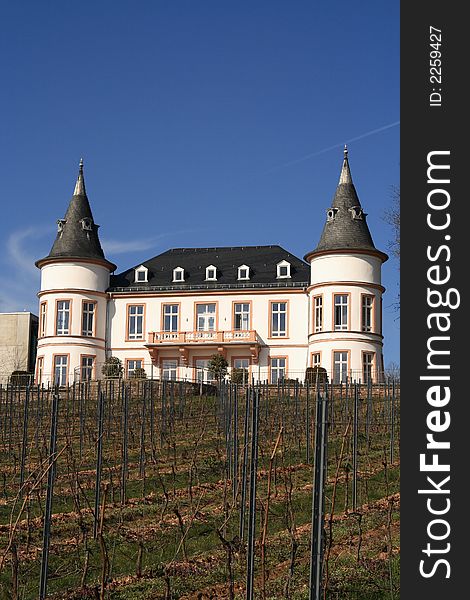 Vine-growing estate in the Rhine Valley, Germany