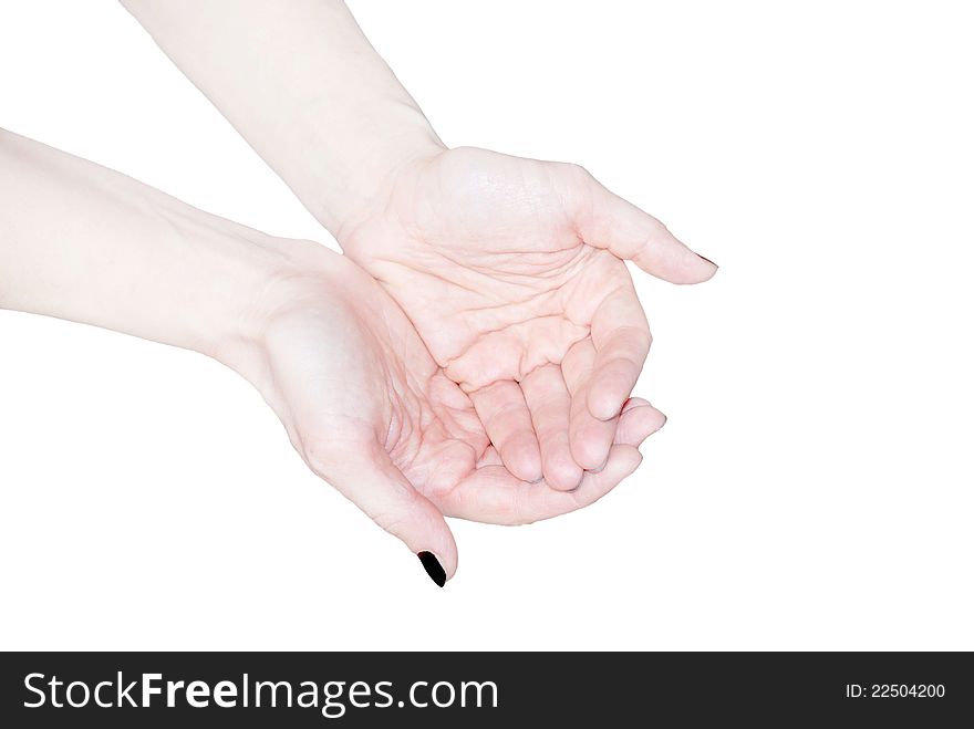 Empty open woman's hands isolated on white