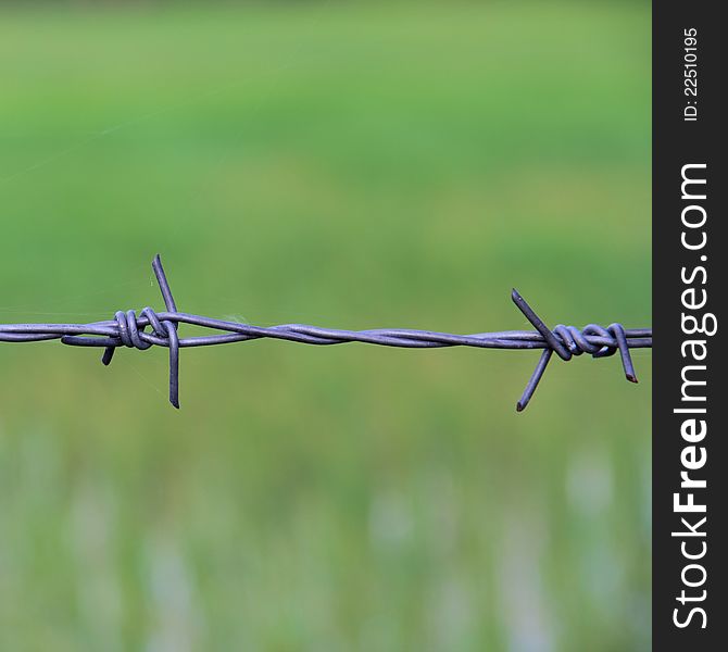 Barbed wires against green background. Barbed wires against green background.