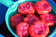 Bell Pepper Stuffed With Pickled Red Cabbage Stock Image