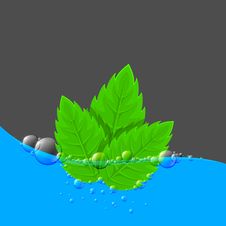Water Background With Green Leaves Stock Images Water Background With Green Leaves Stock Images