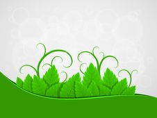 Background With Green Leaves Stock Image Background With Green Leaves Stock Image