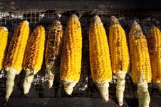Corns Royalty Free Stock Images
