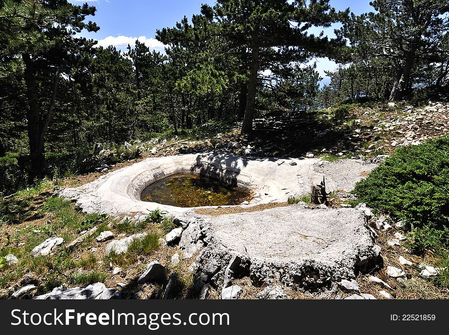 Watering-place for wild animal in national park Biokovo