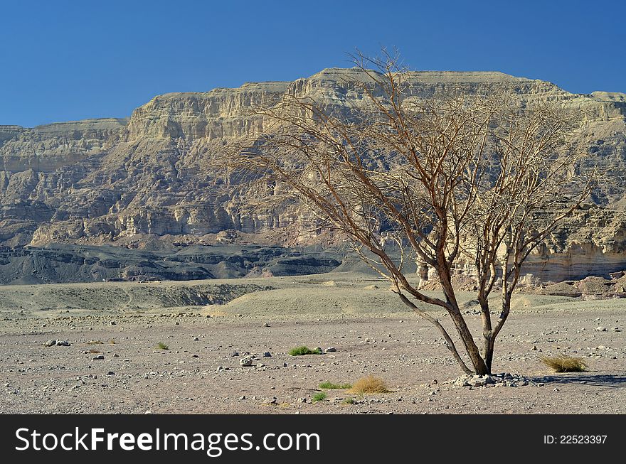 Geological Timna park is located in 25 km from Eilat, Israel. Geological Timna park is located in 25 km from Eilat, Israel