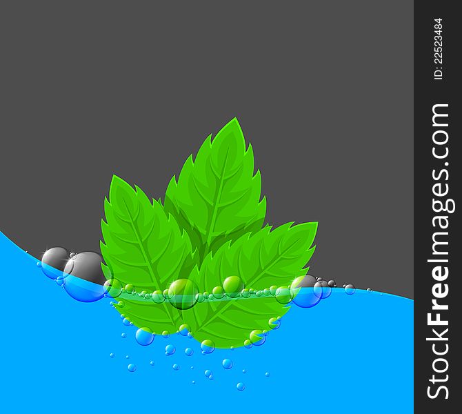 Water background with green leaves