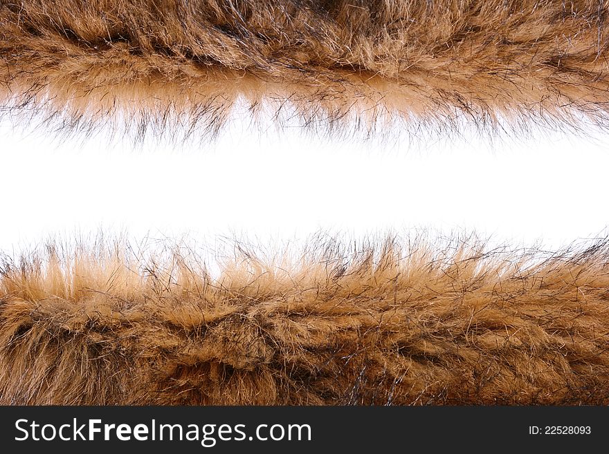 Fluffy wool texture on white background