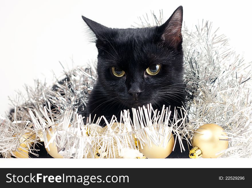 Cute black cat with Christmas ornaments