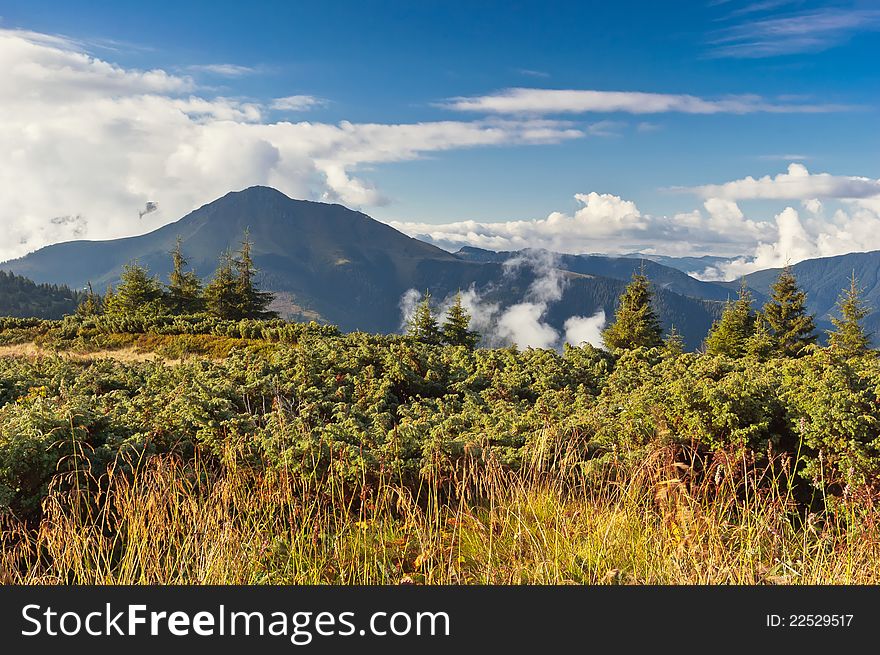 Summer landscape in the mountains