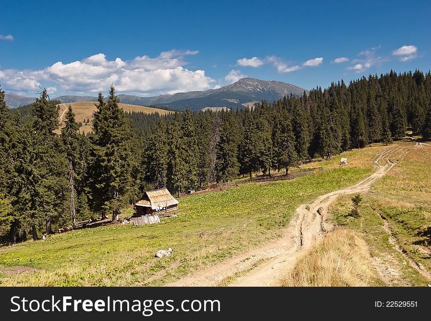 Summer landscape in the mountains