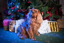 Little Santa Helper Stock Images Little Santa Helper Stock Images