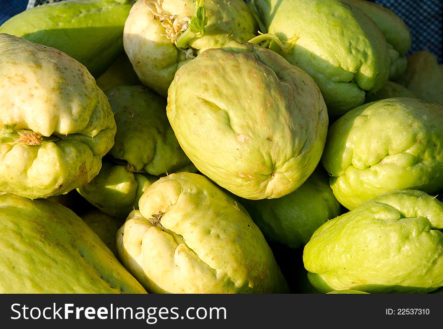 Chayote Harvest Of Vegetables.