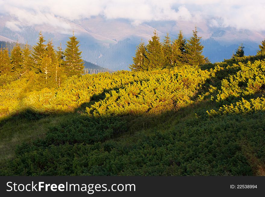 Summer landscape in the mountains