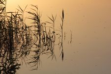 Cane. Sunrise. Reflection. Stock Photos Cane. Sunrise. Reflection. Stock Photos