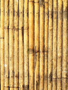 Bamboo Wall Texture Stock Image Bamboo Wall Texture Stock Image
