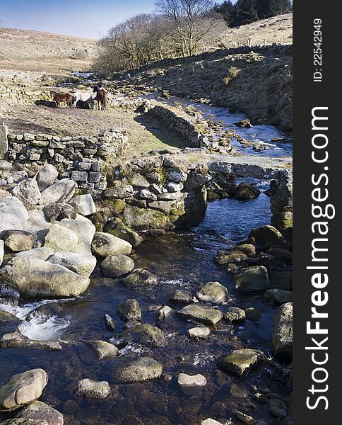 Landscape view of a stone bridge on Dartmoor National Park, with ponies in the background. Landscape view of a stone bridge on Dartmoor National Park, with ponies in the background