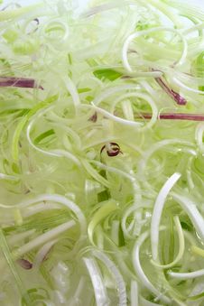 Shredded Green Spring Onion Royalty Free Stock Photography Shredded Green Spring Onion Royalty Free Stock Photography