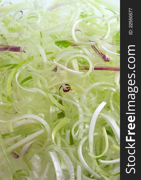 Background photo of Fresh shredded Green Spring Onion in water