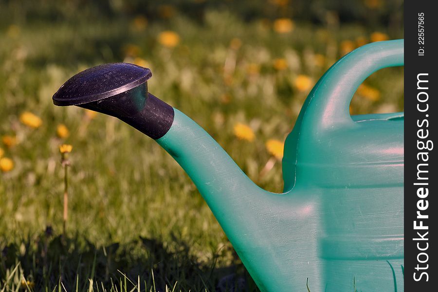 Watering can on green grass in the midsummer