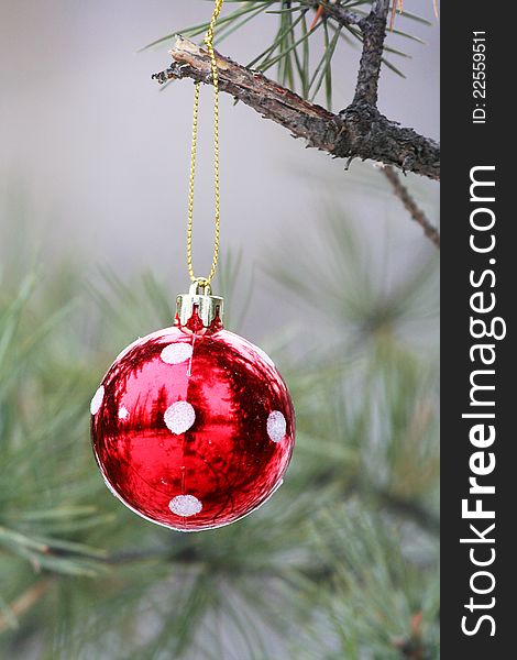 A bright red ornament hanging in a garden. A bright red ornament hanging in a garden.