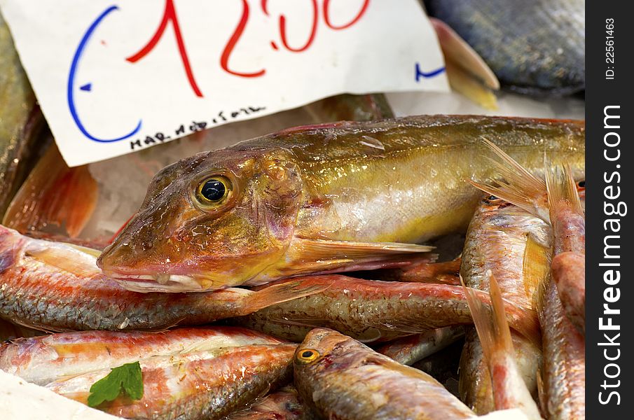 Fresh fish in italian market place