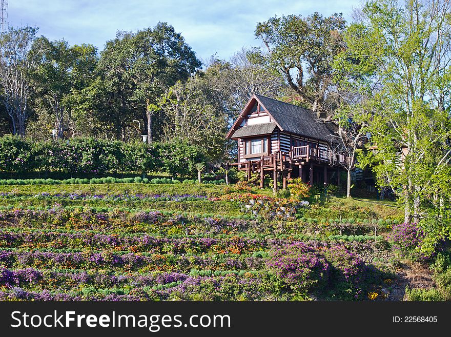 Beautiful wooden house on the hill surrounded flowers