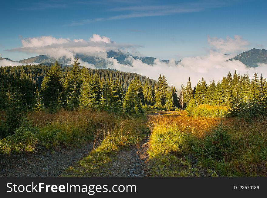 Morning landscape with clouds. Ukraine, the Carpathian mountains. Morning landscape with clouds. Ukraine, the Carpathian mountains