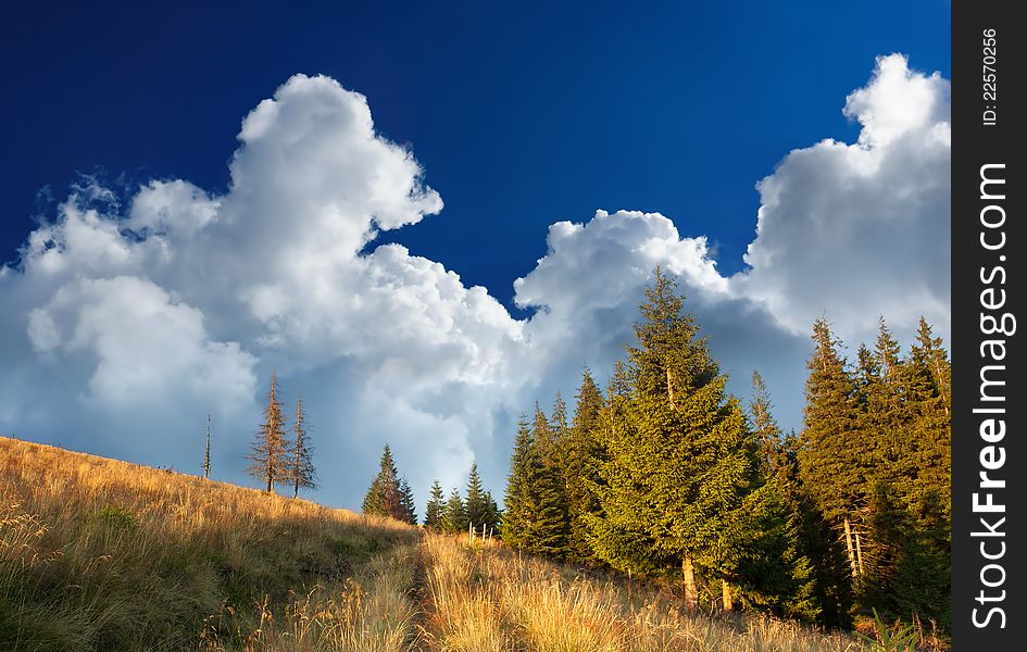 Summer landscape with a cloudy sky. Ukraine, the Carpathian mountains. Summer landscape with a cloudy sky. Ukraine, the Carpathian mountains