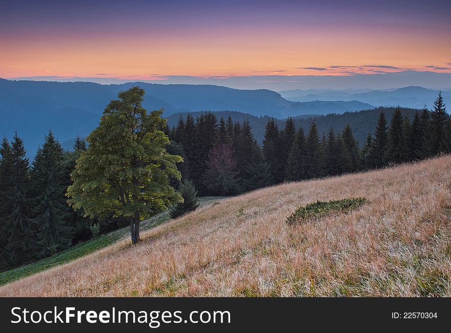 Landscape in the mountains with a sunset. Ukraine, the Carpathian mountains. Landscape in the mountains with a sunset. Ukraine, the Carpathian mountains