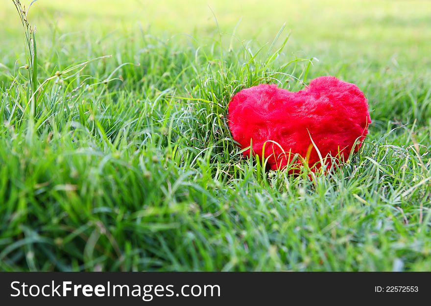 Red Heart on grass of love concept.