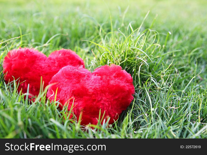 Two red hearts on the grass of love concept. Two red hearts on the grass of love concept.