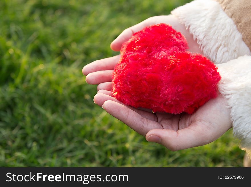 Woman's hand holding a red heart above the grass. Woman's hand holding a red heart above the grass.