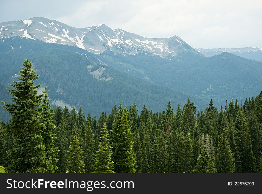 Snow capped mountains and green pines. Snow capped mountains and green pines.