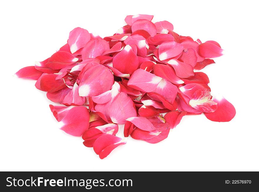 A pile of red rose petals isolated against a white background