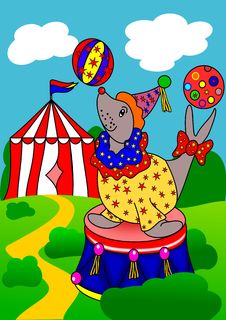 Seal The Circus Royalty Free Stock Photos Seal The Circus Royalty Free Stock Photos