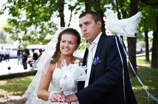 Newlyweds With Pigeons Royalty Free Stock Image