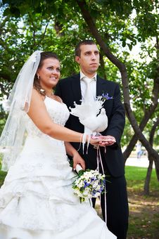 Bride And Groom With Pigeons Royalty Free Stock Photography Bride And Groom With Pigeons Royalty Free Stock Photography