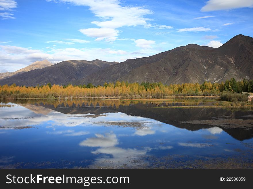 Kyi river and poplar trees
