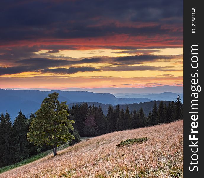 Landscape in the mountains with a sunset. Ukraine, the Carpathian mountains. Landscape in the mountains with a sunset. Ukraine, the Carpathian mountains