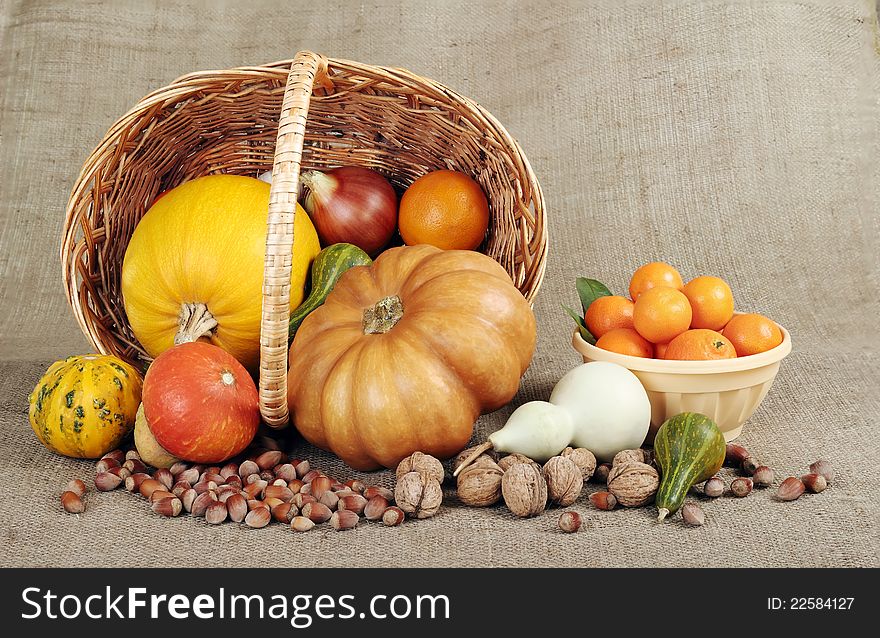 Still life of ornamental pumpkins and cones for Thanksgiving