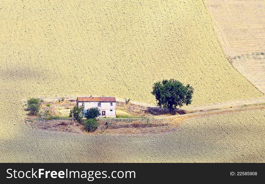 Isolated household on plowed hill