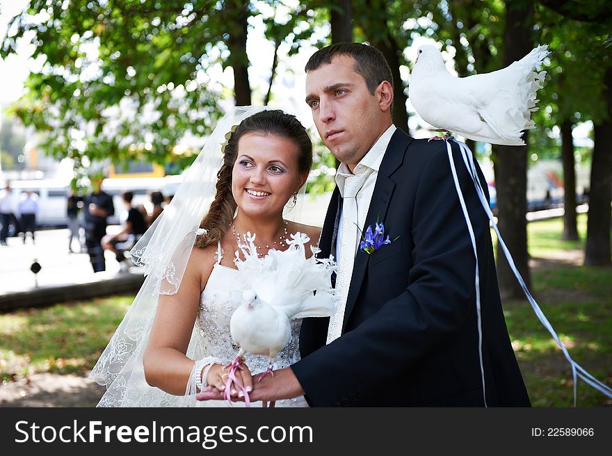 Newlyweds with pigeons